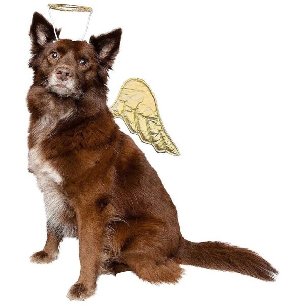 Pet Grooming Angel Wings and Halo Costume Accessories for Dogs