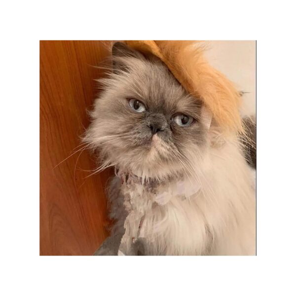 Pet Head Wear Costume with President Style Furry Wig for Cats and Small Dogs