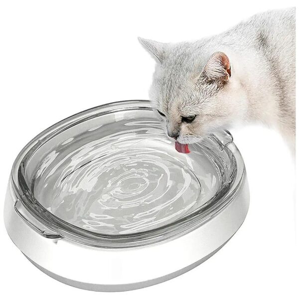 Pet Hydration Focused Glass Bowls for Cats and Small Dogs