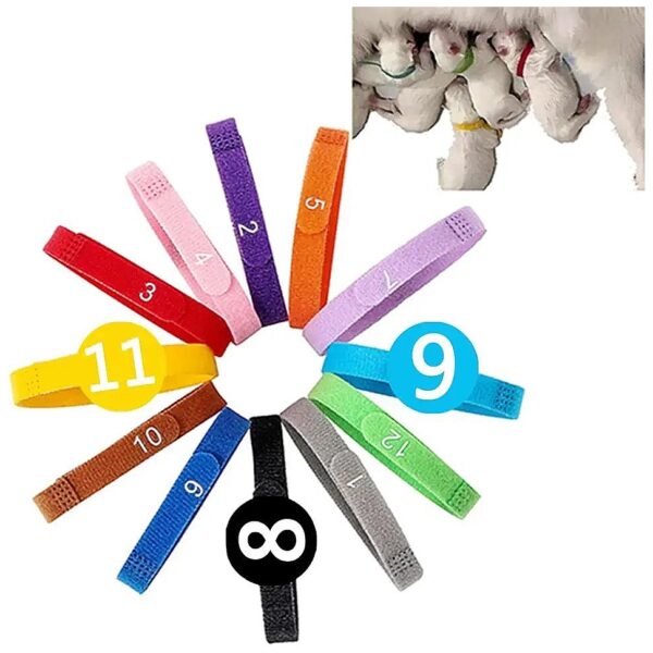 Pet ID Collars for Newborn Puppies with Numbers and Adjustable Sizes for Whelping Dogs