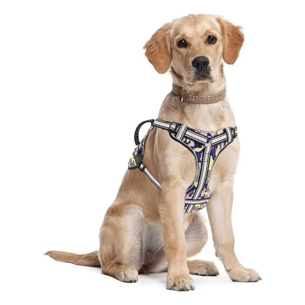 Pet No-Pull Harness with Soft Oxford Material and Nylon Handle for Small to Large Dogs