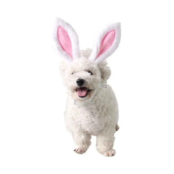 Pet Photography and Party Accessory with Big Bunny Ears Headwear for Small Dogs and Cats