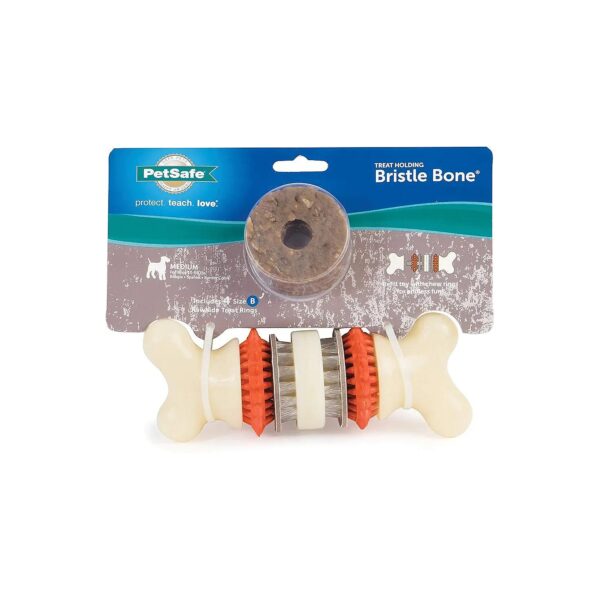 Pet Safe Bristle Bone Chew Toy with Interchangeable Charms and Refills