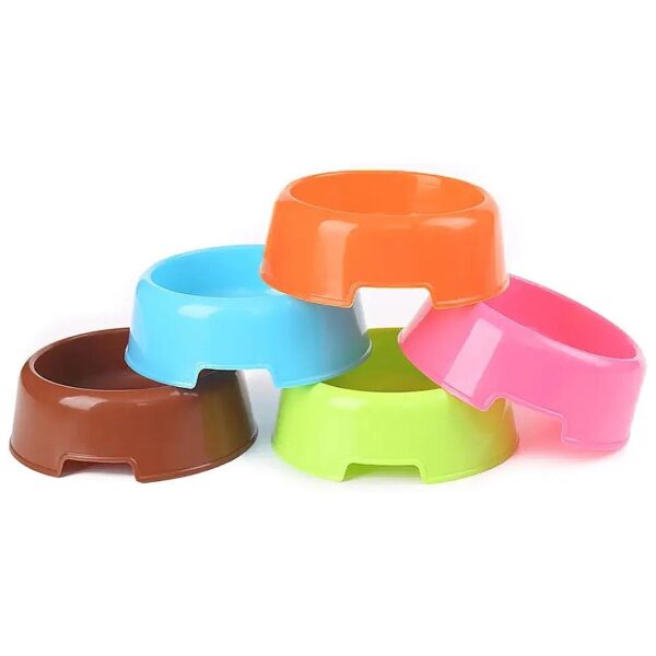 Pet Safe Plastic Food and Water Bowls in Random Colors