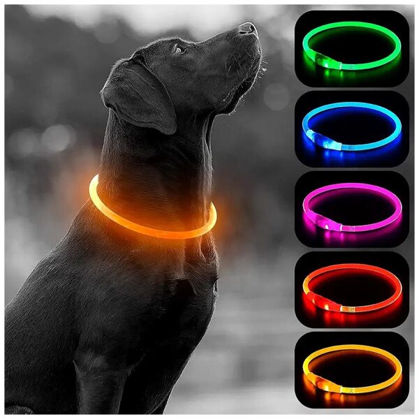 Pet Safety LED Dog Collar Glow in the Dark Micro USB Rechargeable TPU Easy to Wear