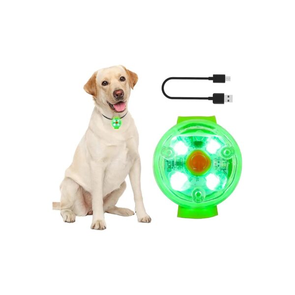 Pet Safety LED Dog Collar Light with Rechargeable Batteries for Nighttime Activities