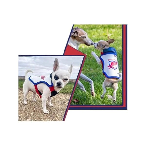 Pet Safety Vest for Small Dogs 12-21 lbs Protecting from Wildlife Attacks Made in USA