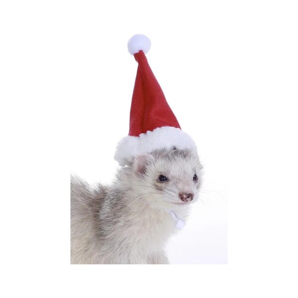 Pet Santa Hat for Ferrets and Small Animals During the Holiday Season