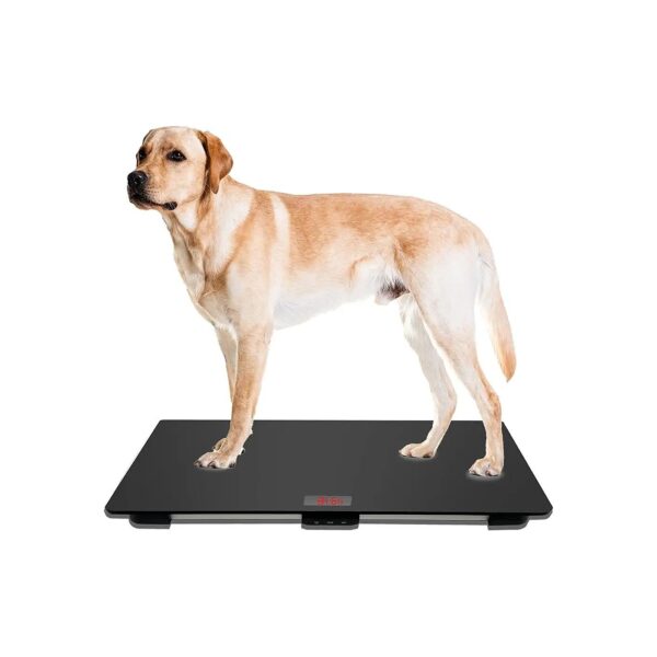 Pet Scale for Large Breed Dogs with Non-Slip Mat and Weighing Platform