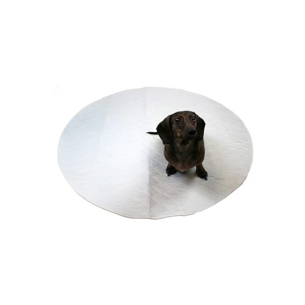 Pet Training Reusable Circle Mat for Whelping and Puppy Potty