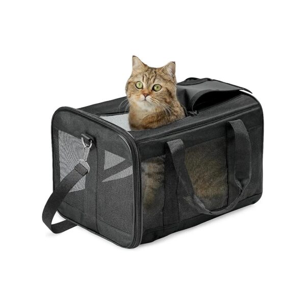 Pet Transport Carrier for Comfortable and Secure Travel for Small-Medium Cats and Puppies