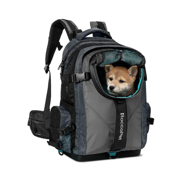 Pet and Laptop All-in-One Backpack for Hiking and Camping