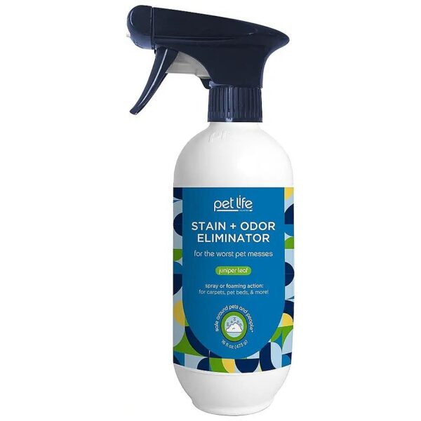 Pet-Friendly Plant-Based Stain and Odor Remover Spray for Indoor Messes