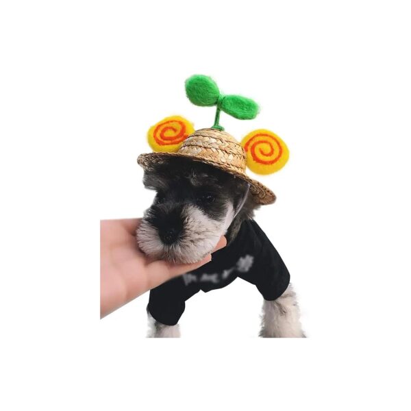 Petite Pet Accessories - Adjustable Sombrero Hat for Small Dogs and Cats