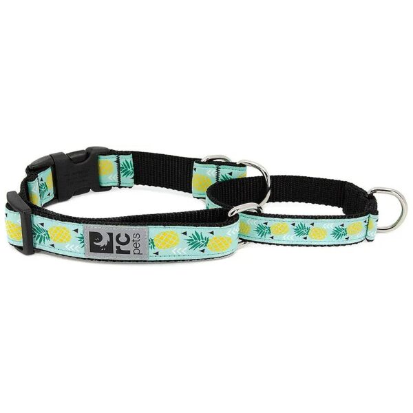 Pineapple Parade Dog Collar for Gentle Training and Correction with Easy Clip