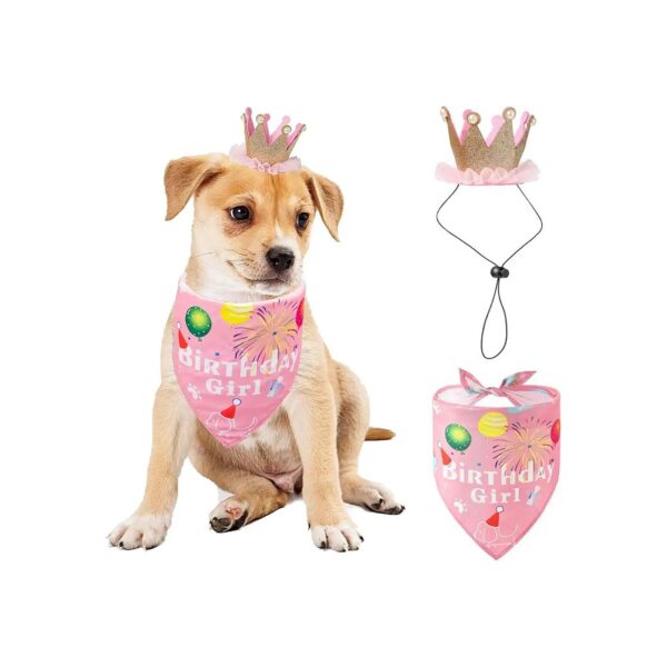 Pink Dog Birthday Crown Hat Bandana Set for Small Medium Dog Pet Party Gift