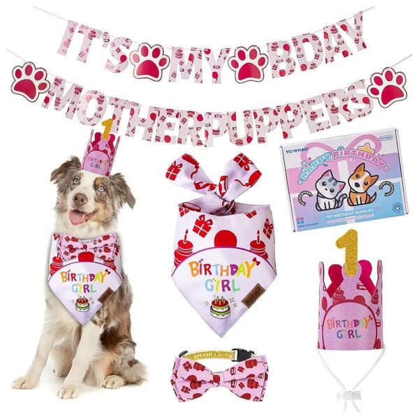 Pink Dog Birthday Crown with Bow Tie and Numbered Banner for Large Pets