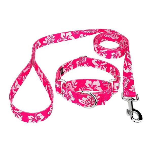 Pink Hawaiian Tropical Design Martingale Dog Collar and Leash Set for Medium Dogs