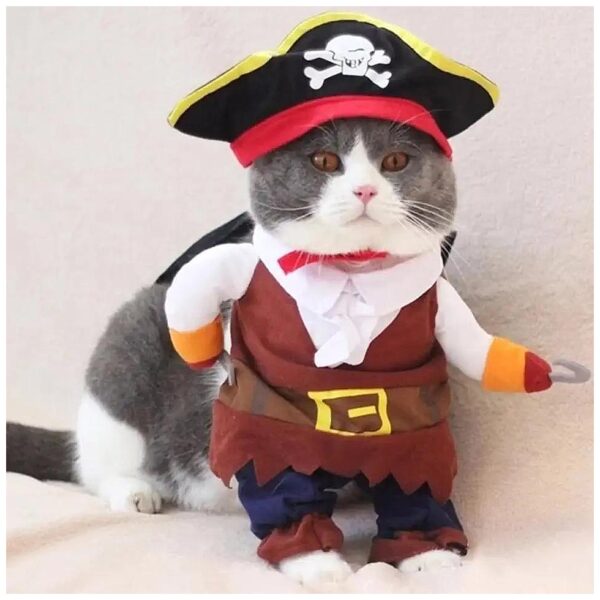 Pirate Pirate Coat and Hat for Cats and Small Dogs Unique Gift Idea