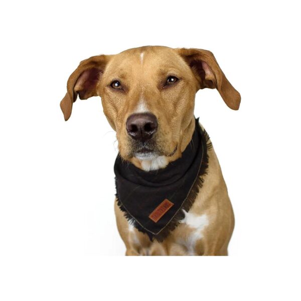 Plaid Brown Dog Bandana with Leather Patch for Medium to Large Breeds Comfortable Wear