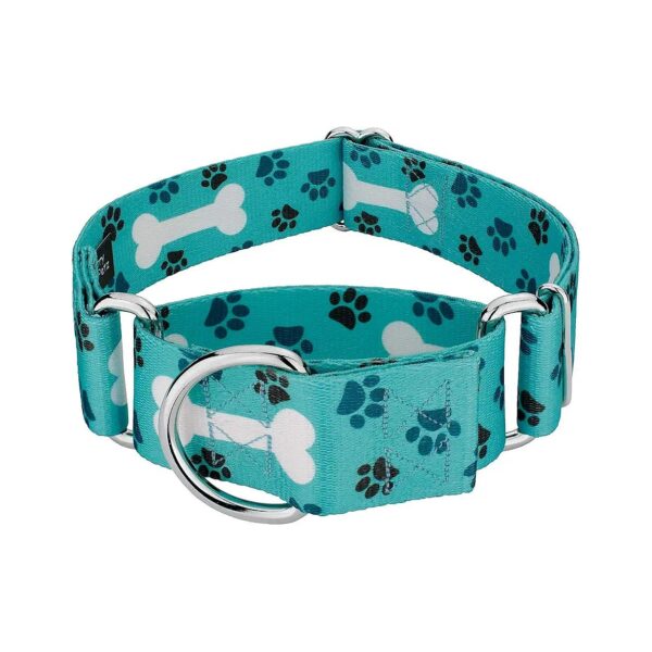 Playful Design Martingale Collar for Active Dogs with 1 1/2 Inch Width