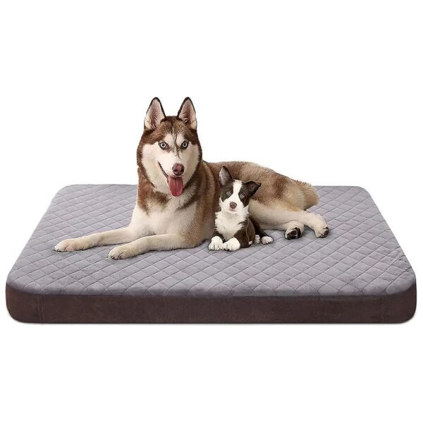 Plush Orthopedic Foam Dog Bed for Jumbo Dogs with Cozy Support and Removable Cover