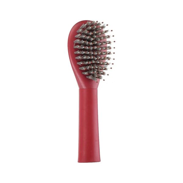 Porcupine Bristle Dog Brush Large Size for Short and Long Hair Breeds with Plastic Handle