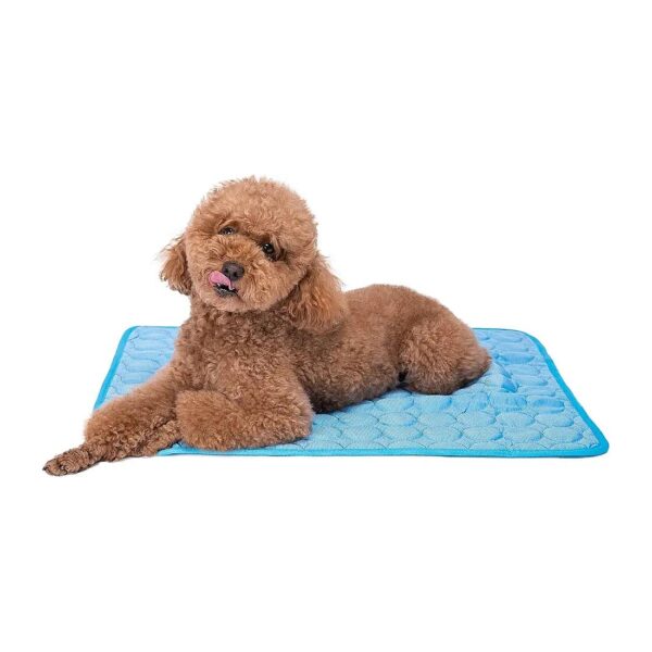 Portable Cooling Blanket for Dogs Cats Outdoor Use Washable Cooling Mat