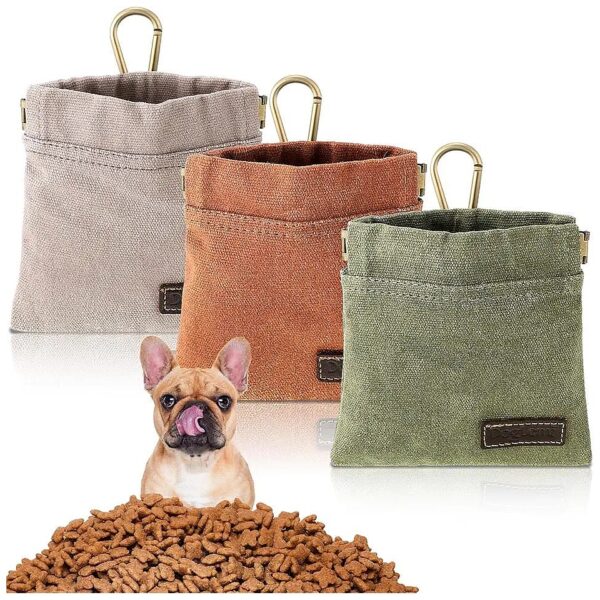 Portable Dog Walking Pouch with 3 Pockets for Treats, Essentials, and Keys