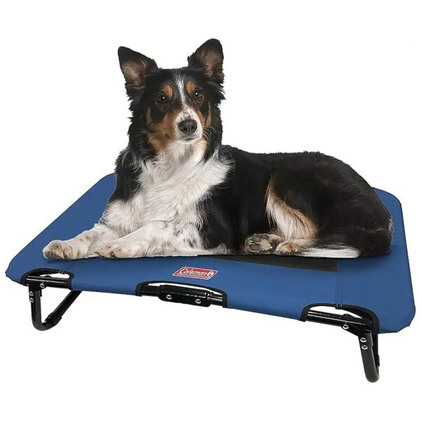 Portable Folding Cot for Large Pets Up to 50 Lbs