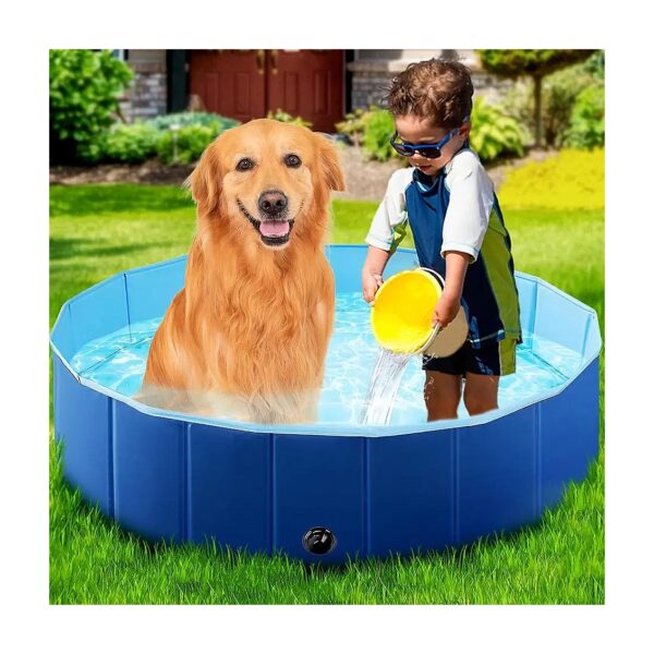 Portable Folds Foldable Kiddie Pool for Dogs and Kids