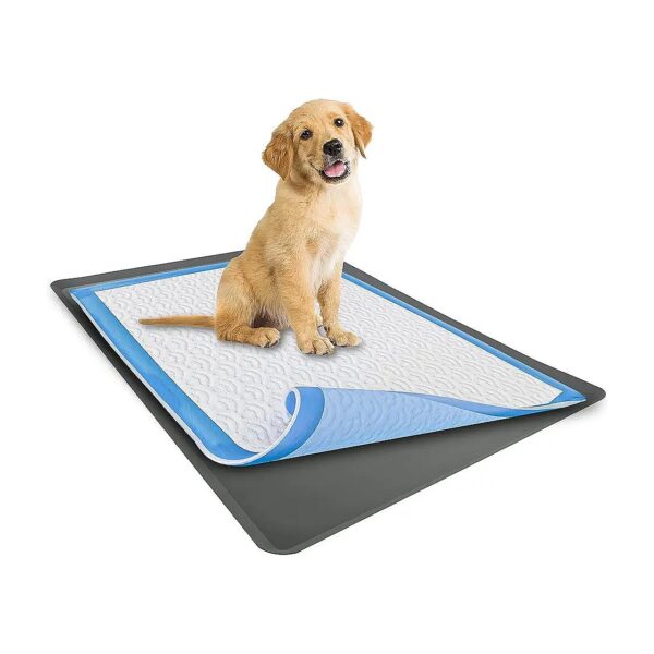 Portable Pee Pad Holder for Dogs with Silicone Construction and Easy Cleaning