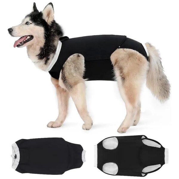 Post Operative Dog Surgery Recovery Suit for Small Medium Large Dogs and Cats