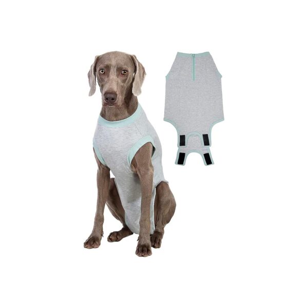 Post-Operative Recovery Suit for Small Dogs (XS) with Neuter or Spay Surgery