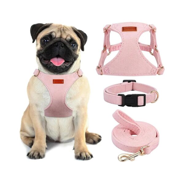 Practical and Easy to Use No-Pull Dog Harness and Leash Combination for Small Dogs