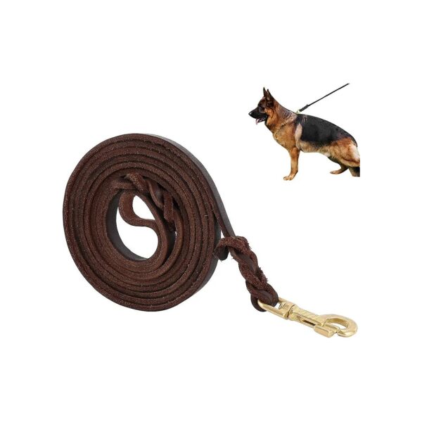 Premier Braided Leather Dog Leash for Strong Medium Large Dogs