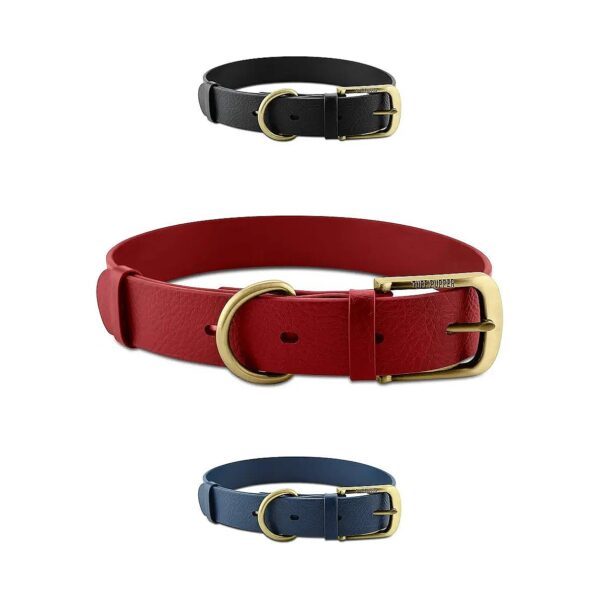 Premium 10x Stronger Dog Collar with Rust-Proof Hardware