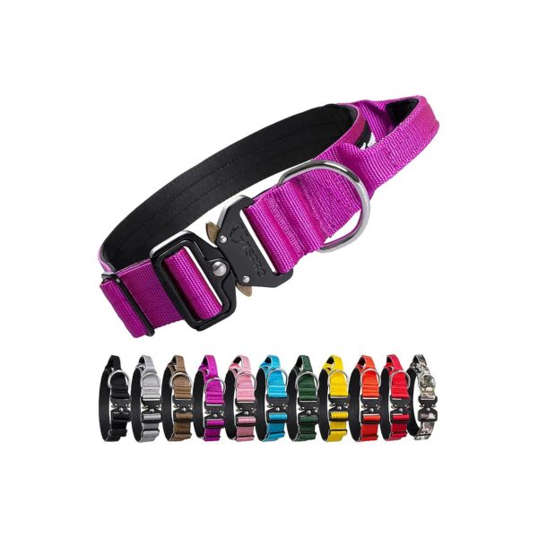 Premium Adjustable Dog Collar with Handle for Small Medium to Extra Large Dogs