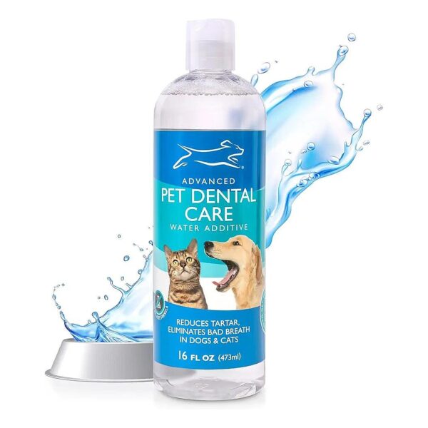 Premium Cat and Dog Dental Care with No Brush Formula