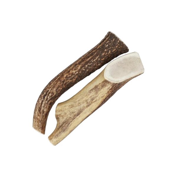 Premium Dog Chews for Large Dogs - 8" Large Size Elk Antlers