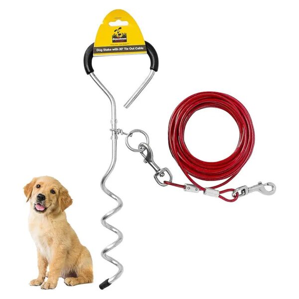 Premium Dog Yard Leash and Stake for Pet Owners