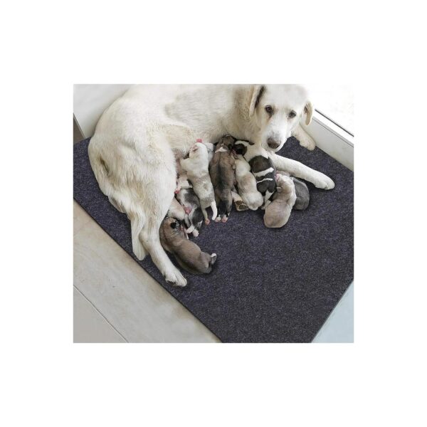 Premium Fast Absorbent Puppy Pads with Protective Floor Liner and Reusable Design