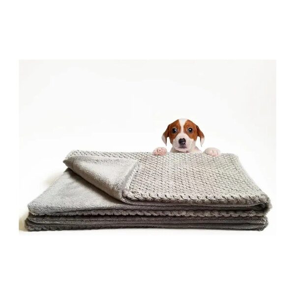 Premium Fleece Pet Blanket - Soft, Warm, and Sandproof for Dogs and Cats