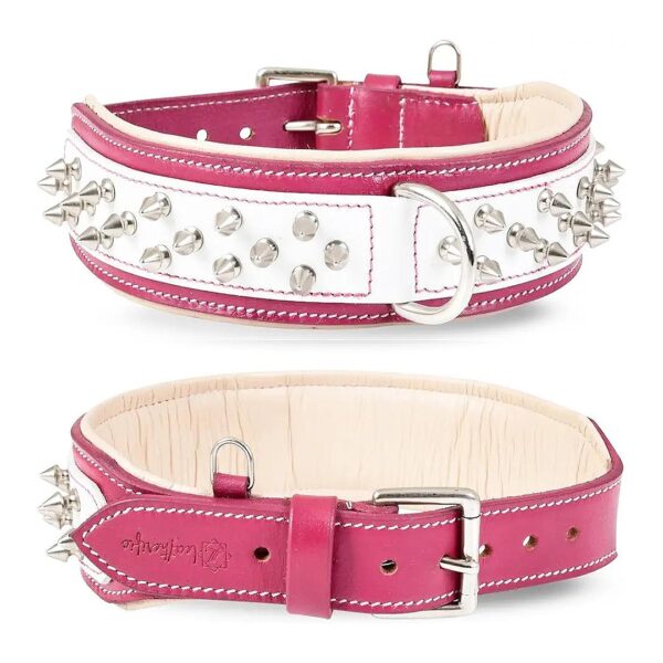 Premium Genuine Leather Dog Collar with Spikes for Medium to XL Breeds in Magenta White