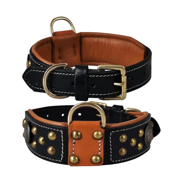 Premium Leather Dog Collar with Celtic Conchos and Gold Dome Rivets