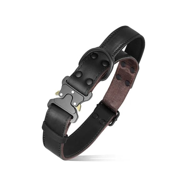 Premium Leather Dog Collar with Soft Handle and Metal Buckle for Walking and Training