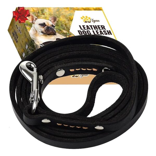 Premium Leather Dog Leash for Small and Medium Dogs with 6 Foot Long and 1/2 Inch Wide