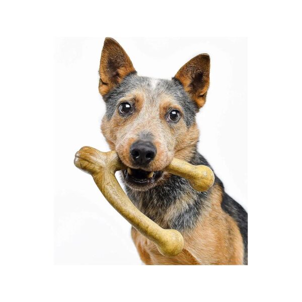 Premium Nylon Wishbone Dog Chew Toy with Peanut Butter Flavor for Aggressive Chewers