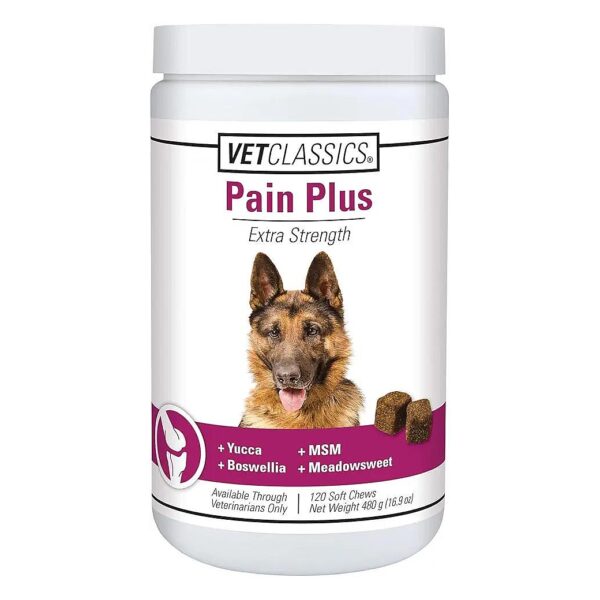 Premium Pet Supplements for Dogs with Extra Strength Pain Relief to Support Active Living