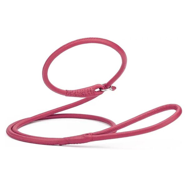 Premium Pink Leather Dog Slip Lead with Padded Design for Small to Large Breeds